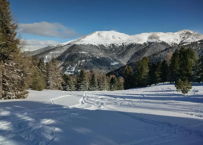 Almrausch Grohmann * Turracher Hohe